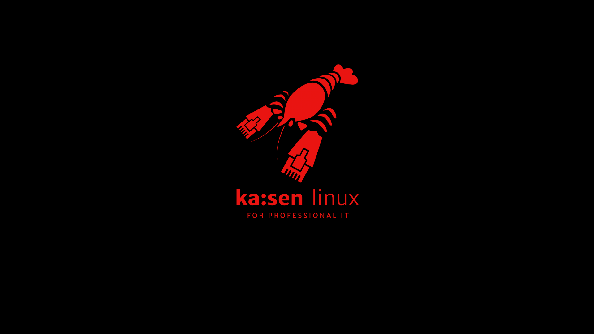 Kaisen Linux | The distribution for professional IT